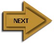 arrowgoldnext.jpg (3584 bytes)
