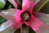 My Gallery: Image