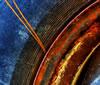 My Gallery: Image